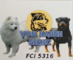 Von house simic