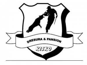 logo pans dre