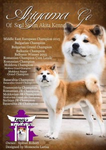 12244221_10207180033914407_1573870268_n