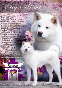 12248750_10207180034114412_1390016903_n