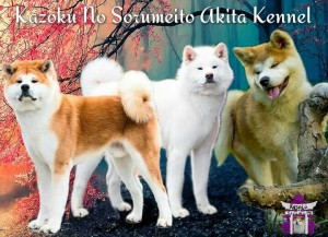 12272631_10207180034274416_1379018627_n