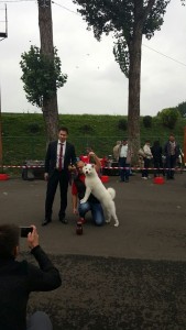 12273106_10207180034394419_1242631112_n