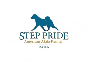 step-pride-logo-manja-rezolucija