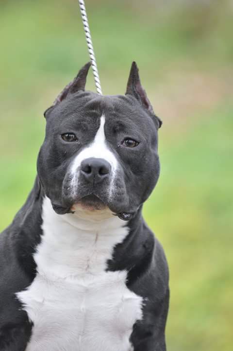 14627959_1364046103613445_1124382703_n