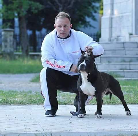 14657811_1364046123613443_536608465_n