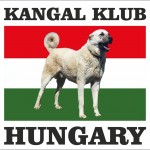 16237226_1340312129341866_238792039_n