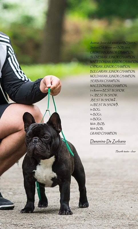 16753908_669985279850397_993031378_n