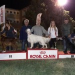 10421115_1647996328767101_9122217926972994064_n