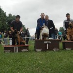 11651203_918032184928110_393037454_n