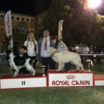 1907985_1647996352100432_7138230854171199753_n