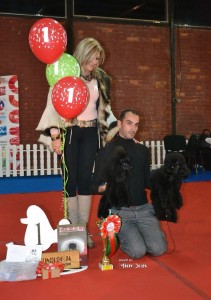 Aleksandar Petrovic odgajivacnica