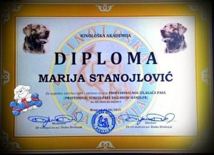 Diploma MArija