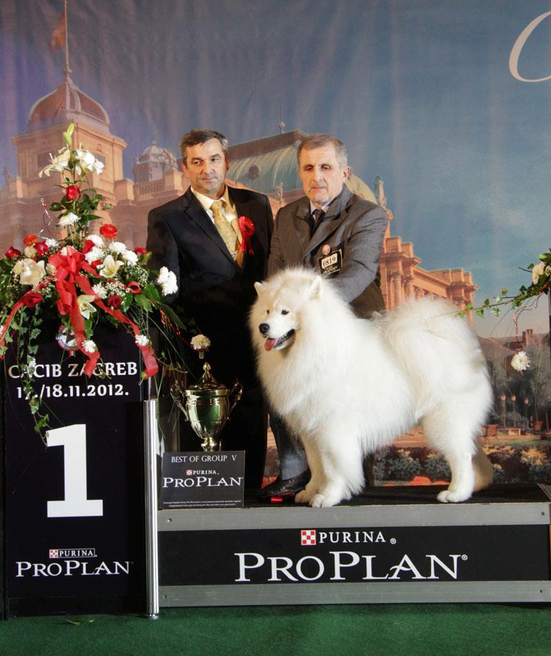 franjo kovacev.jpg 2