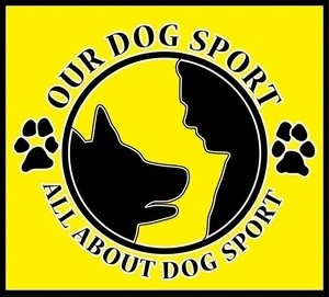 Aleksandar Isailovic