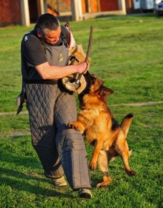 Aleksandar Isailovic