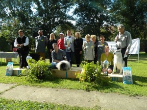 Sombor 2015