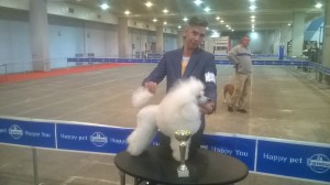 12333111_1047653078607720_1952008166_o