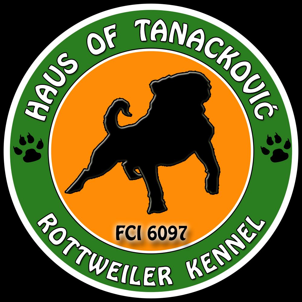 logo-haus-of-tanackovi__