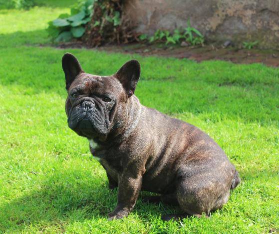 14159148_10210111325561335_1254690238_n