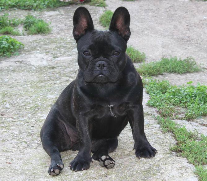 14249007_10210111343201776_1076638549_n