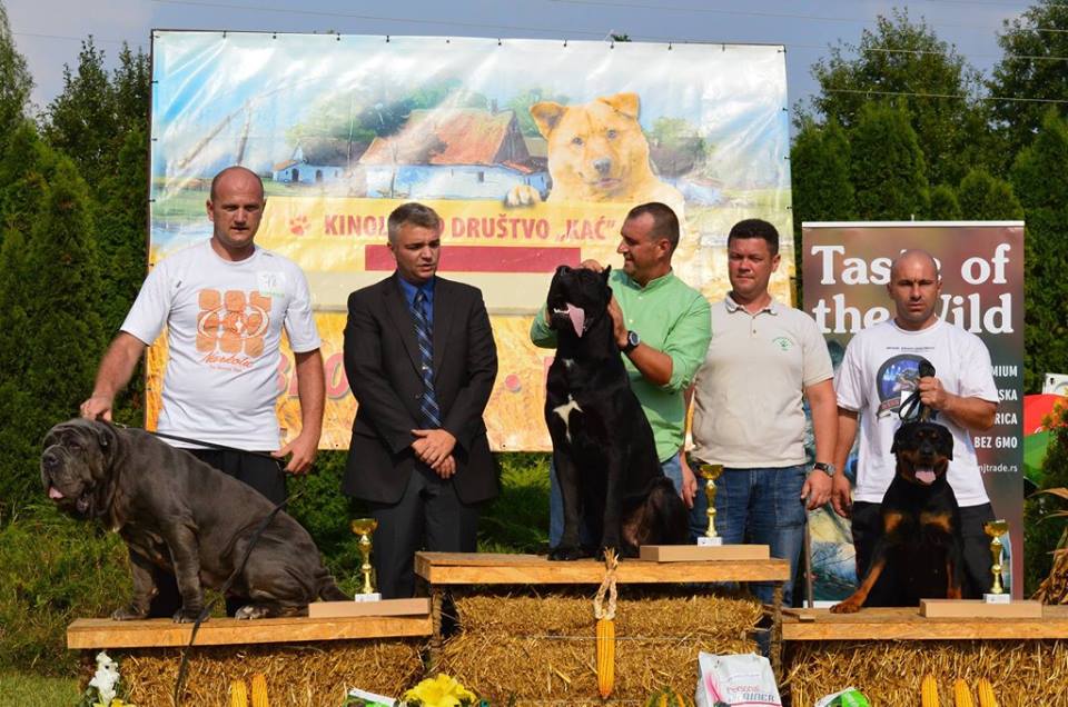 14332958_10210815029920088_5075077155276428813_n