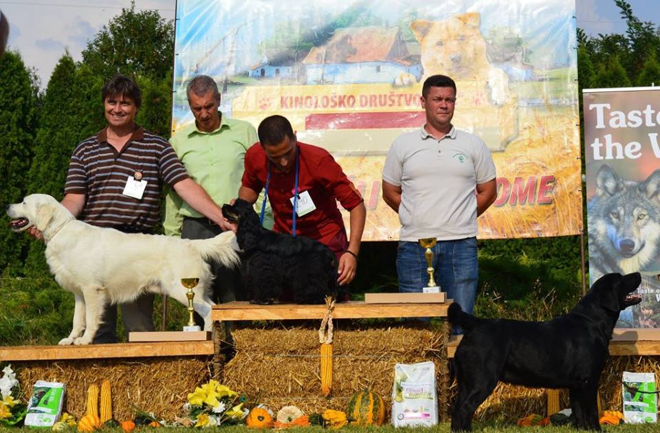 14355750_10210815060520853_8478672754773884291_n