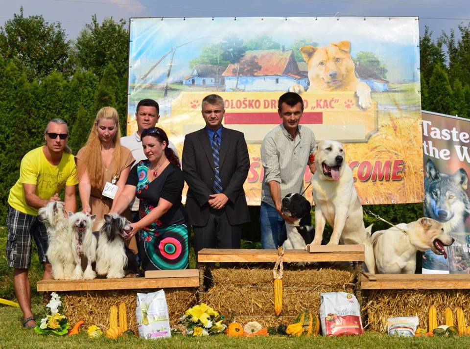 14390773_10210815015999740_1775031509518028940_n