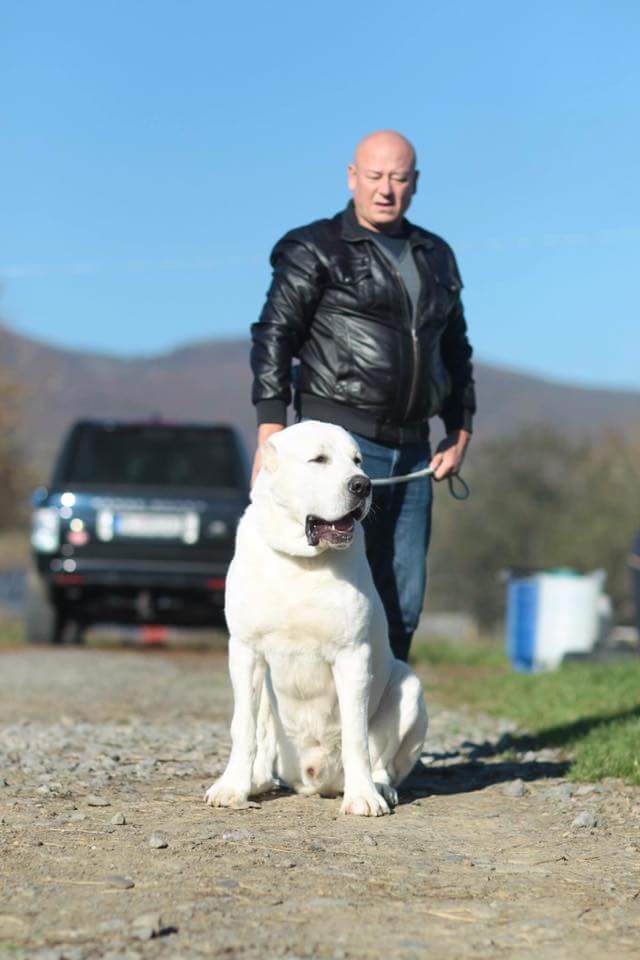 14212647_1772750306310770_6207189543972098732_n