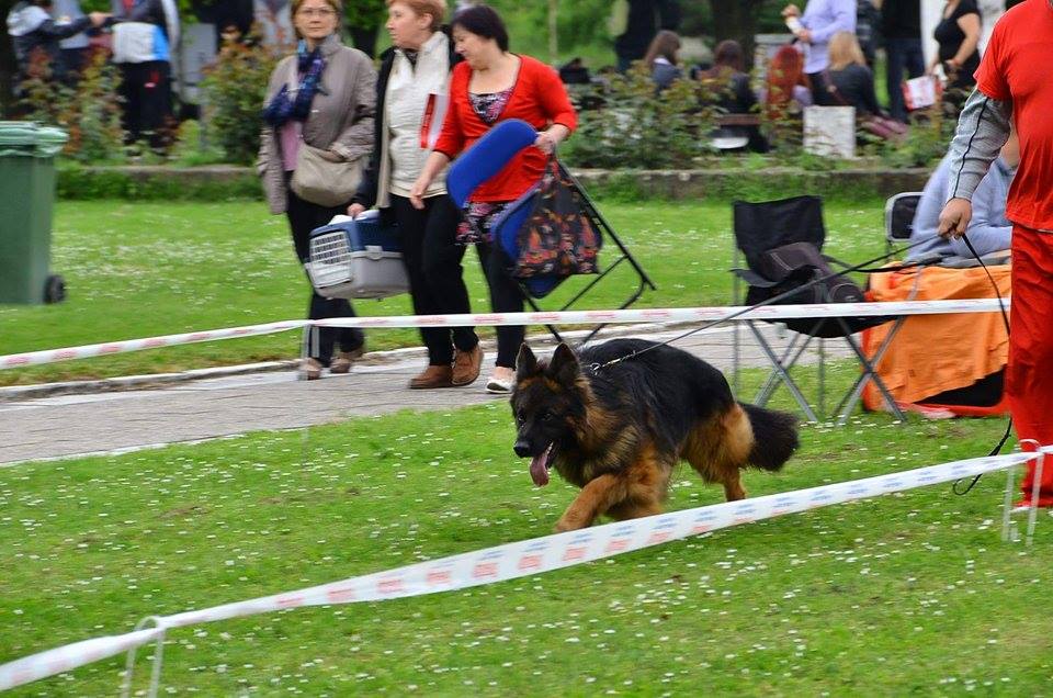 14696881_1234535216611825_358732294_n