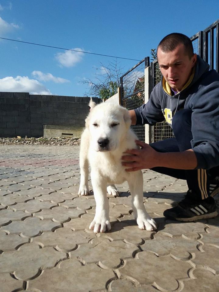 14885864_10207883323907766_593826786_n