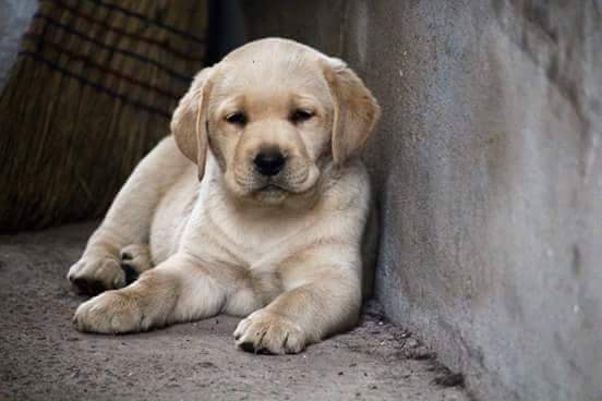 image-0-02-05-dc86b45f2703f8f5d609695e45a7e28d5a5ea7f2b00708f1358f2d130cd3a7d0-v