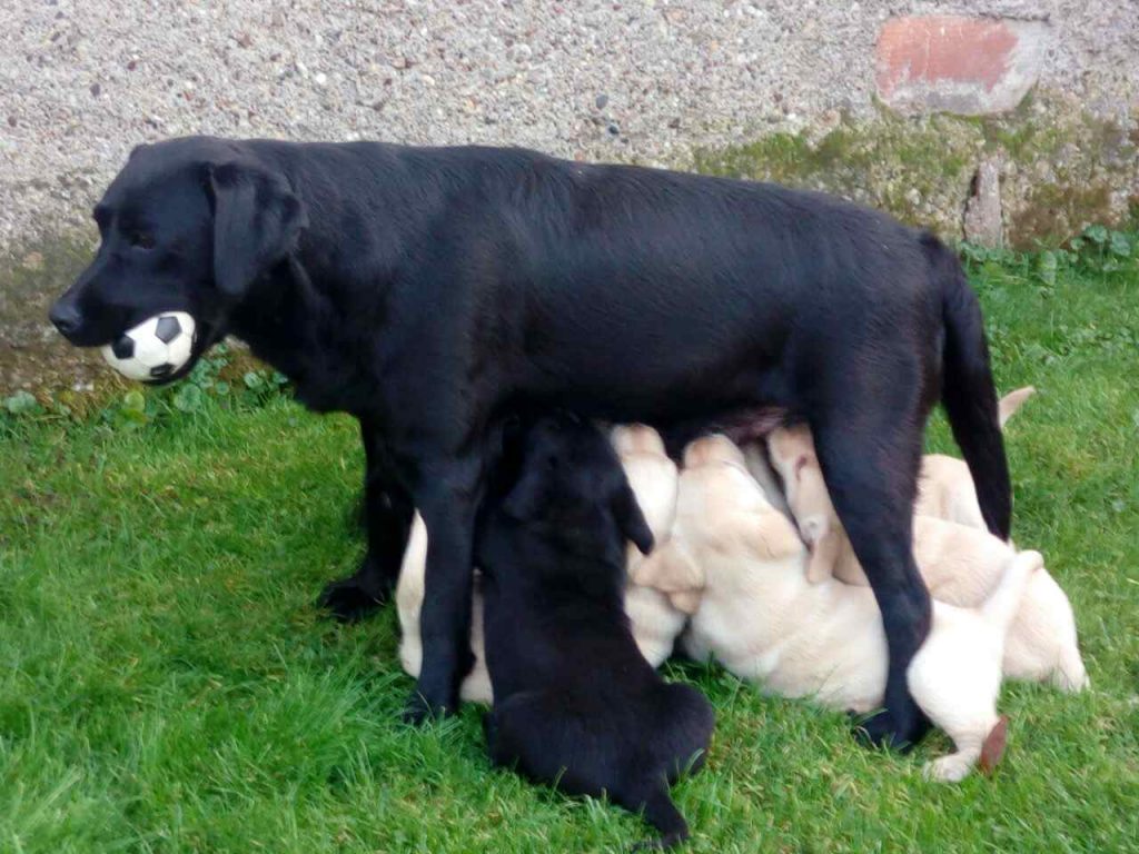 image-0-02-05-f903c4c2cfb637a05dd77a7808d40ec6570b45472ebb104d222c58d3283cc15c-v