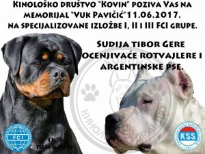 15672615_1818447855069637_2768053336805116196_n