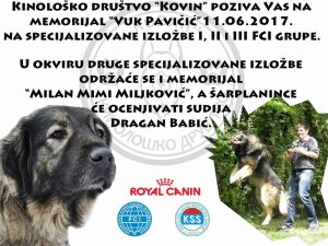 16839418_177958652696290_2118704166_n