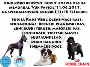 16839613_177958616029627_1638530137_n