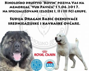 16900016_177958656029623_1692080195_n