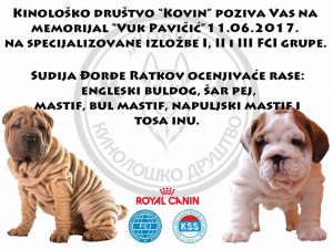 16900322_177958636029625_1963374088_n