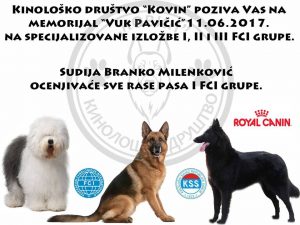 16924246_177958622696293_1383489077_n