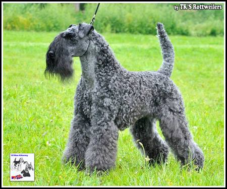 19389790_1397915803587424_1965607890_n (1)