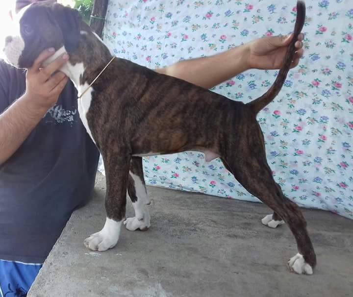 21912618_1475614199188342_1508227618_n