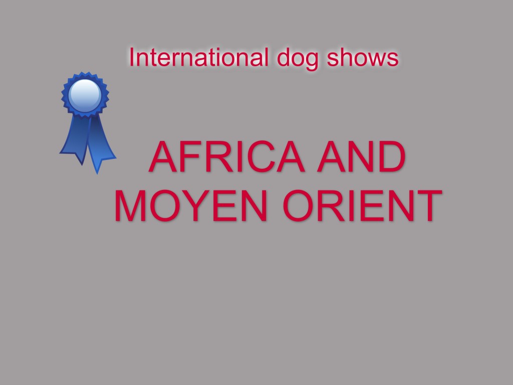 Africa and Moyen Orient-International Dog Shows 2017 (CACIB)