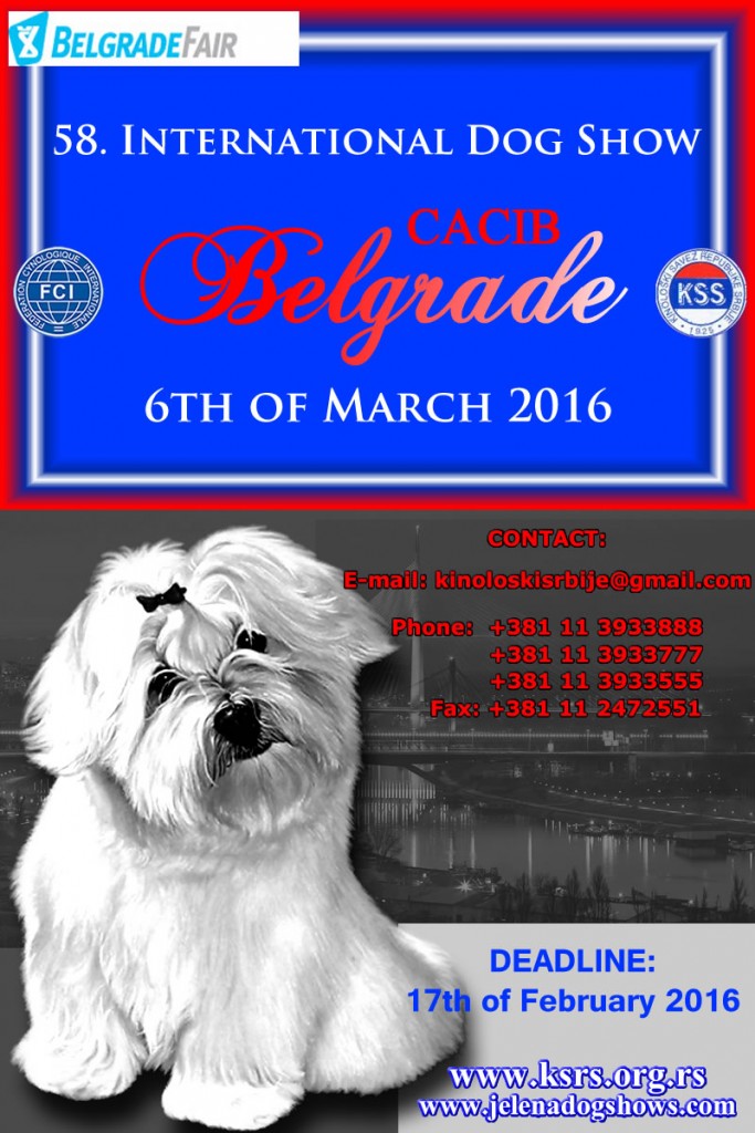 58. International Dog Show CACIB Belgrade-06.03.2016. (Video Clips)