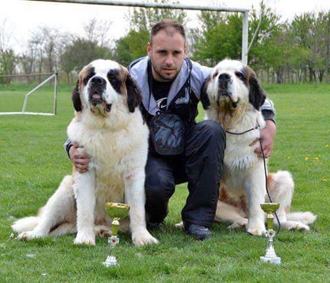 Kennel “Mankind’s Kennel”