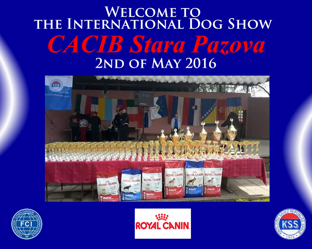 INTERNATIONAL DOG SHOW C.A.C.I.B. Stara Pazova (Serbia)-02.05.2016.