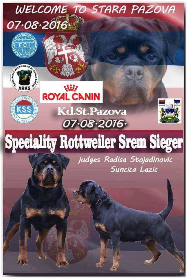 The Cover Page of the Web Portal Jelena Dog Shows-Specialty Rottweiler Srem Sieger Stara Pazova (Serbia) 07.08.2016.