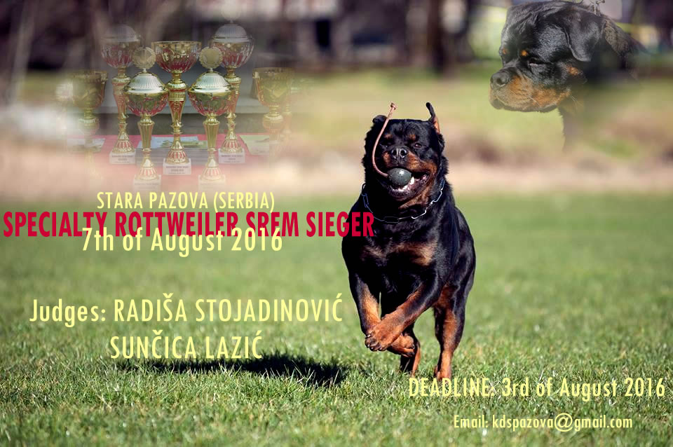 Specialty Rottweiler Srem Sieger-“Moj ljubimac” (video)