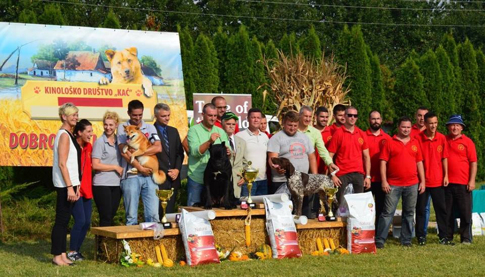 Results & Photos-3rd National All Breed Dog Show & 3rd Specialty Club Show for FCI V Group-10.09.2016./11.09.2016. Kać (Serbia)