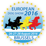 EDS Brussels 2016