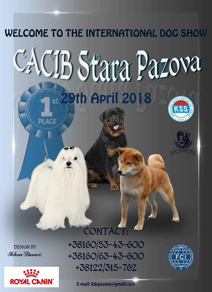 INTERNATIONAL DOG SHOW C.A.C.I.B. Stara Pazova (Serbia)-29.04.2018.