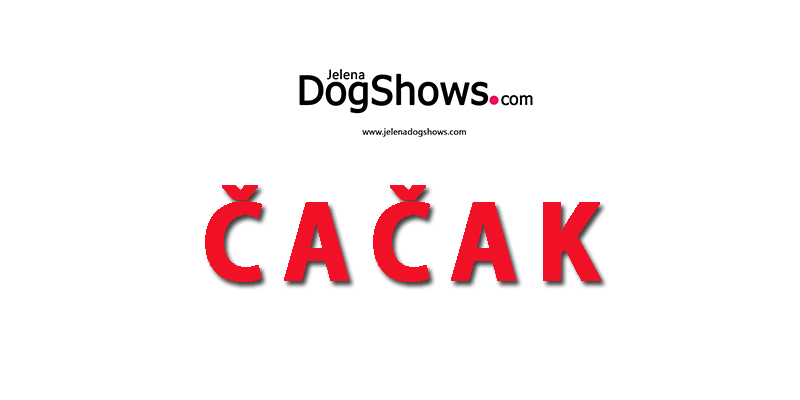 National Dog Show CAC Čačak 2016 (Serbia)-“Moj ljubimac” (video)